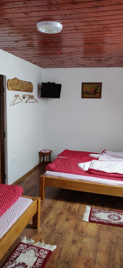 Hotel Tuende Vendeghaz Vistea Zewnętrze zdjęcie